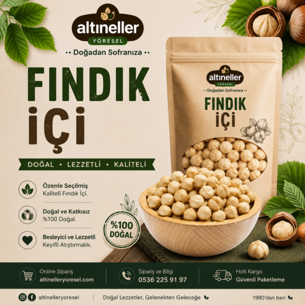 Fındık İçi